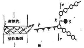 离子S吸附在裂纹原子上图